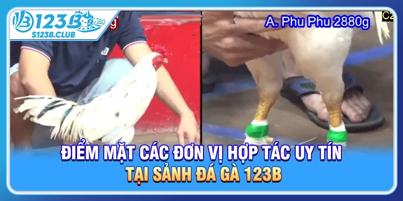 Điểm mặt các đơn vị hợp tác uy tín tại sảnh đá gà 123B
