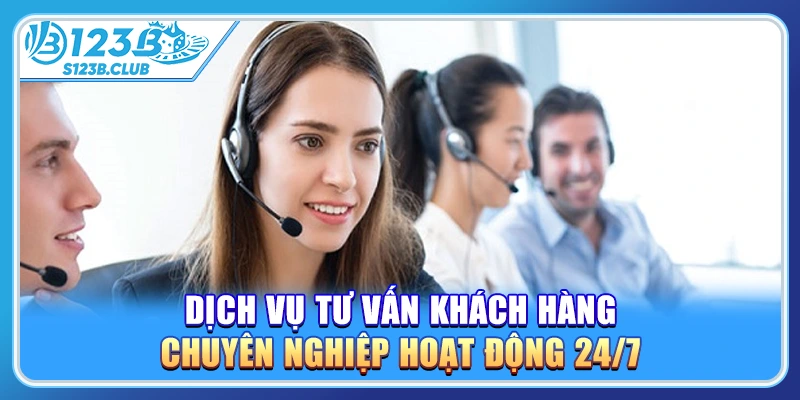 Dịch vụ tư vấn khách hàng chuyên nghiệp hoạt động 24/7 