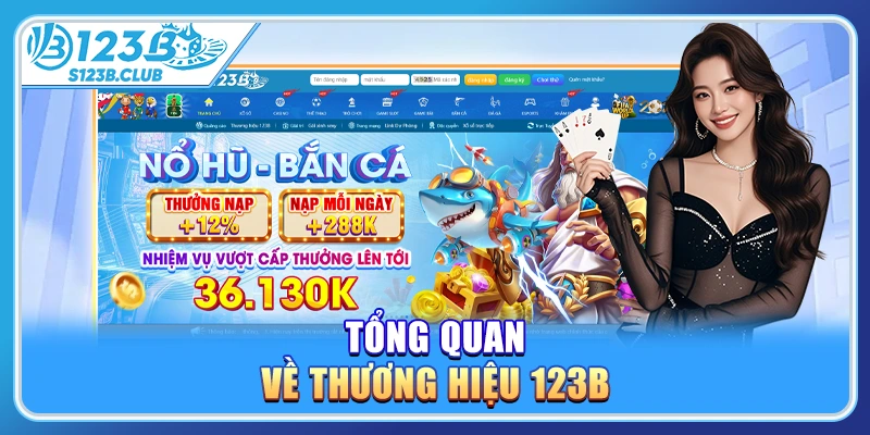 Tổng quan về thương hiệu 123b